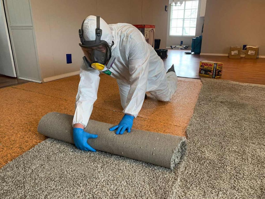 All Nation Restoration Removing Mold from home