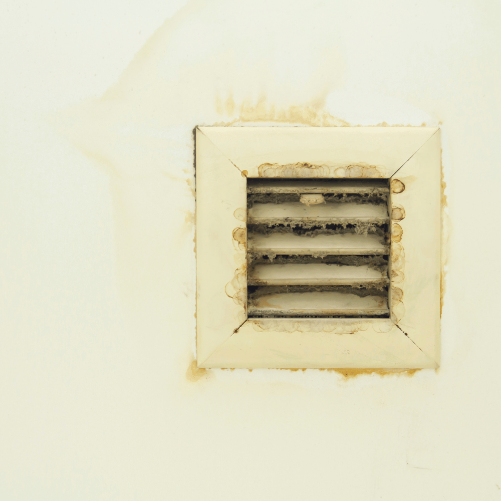 mold in air vents