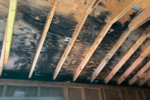 black mold on attic ceiling - time for attic mold removal