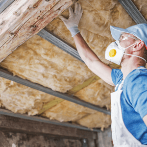 professional attic mold removal with all nation restoration