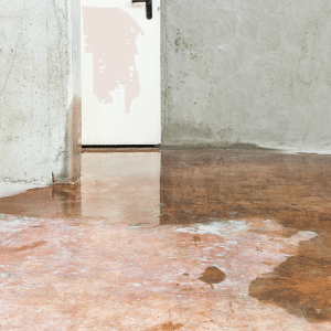 signs you need to waterproof your basement