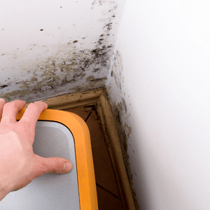 Hidden Black Mold