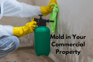 Mold In Your Commercial Property