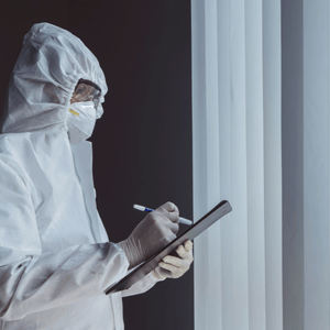 Mold Removal Professional