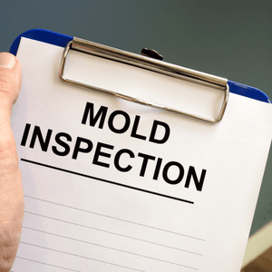 mold inspection